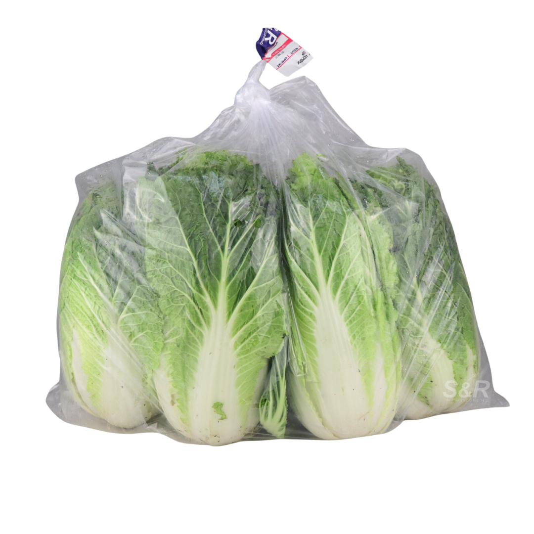 S&R Wombok Pechay Wholesale approx 3.1kg